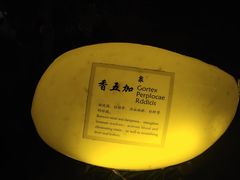 -张家港金凤凰度假村温泉