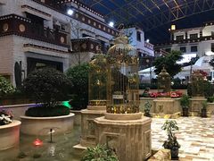 -拉萨圣地天堂洲际大饭店-自助餐厅