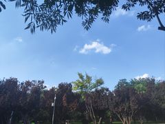 -元大都城垣遗址公园