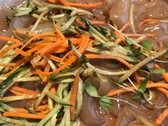 东北大拉皮-孙记驴肉山庄(李桥店)