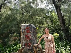 -北海金海湾红树林生态旅游区