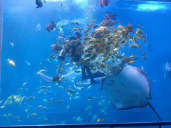 -太平洋海底世界