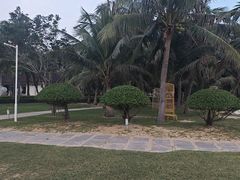 -三亚海棠湾万丽度假酒店