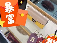 -COACH蔻驰(星光68广场店)