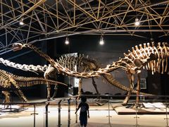 -世界恐龙谷景区