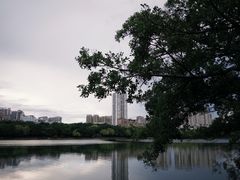 -南宁南湖公园