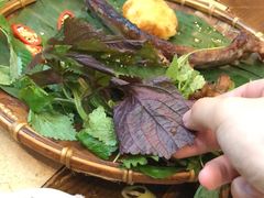 -Cau Go Vietnamese Cuisine