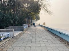 -瀛洲公园