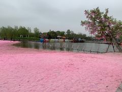 -上海杨姆庄园