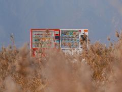 -野鸭湖国家湿地公园