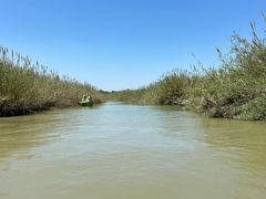 -泗洪洪泽湖湿地景区