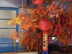 -五马集·海鲜·温州大牌档(黑金冠五马街十字路口店)