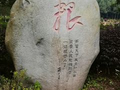 -邓小平故里