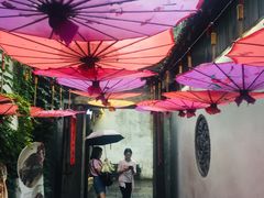 -鱼食饭稻·苏浙土菜17年老馆子(平江路店)