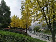 -苏州河梦清园环保主题公园