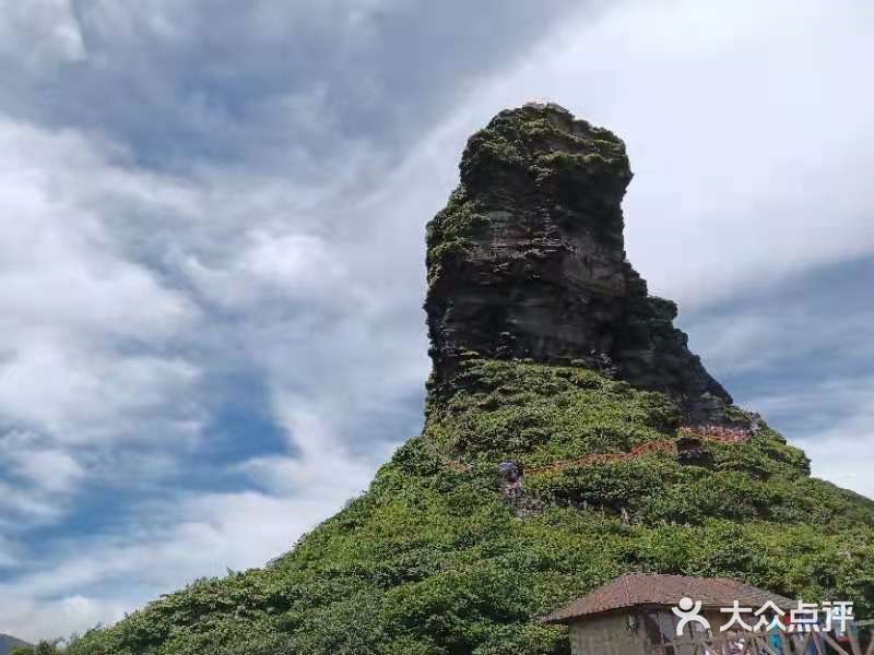 净心 净心 梵净山