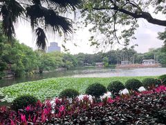 -荔湾湖公园