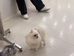 -共舞时光猫咖·狗咖(新街口店)