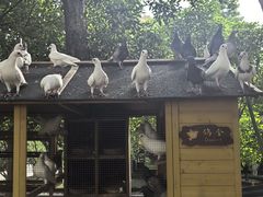 -青岛鑫江温德姆酒店