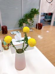 -维纳斯专业减肥