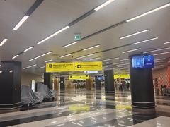 -谢列梅捷沃国际机场