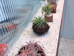 -幸运咖(公园茂直营店)