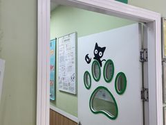 -瑞鹏宠物医院·夜间急症·心超·猫科(祖庙分店)