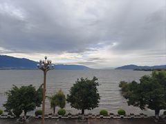 -野菌皇海景野生菌火锅(滨海大道店)