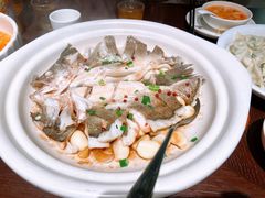 百秒焗鲈鱼-单家老院·院子里的青岛菜(沙子口店)