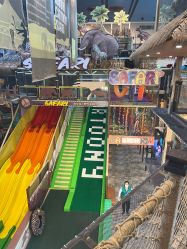 -卡通尼·Safari非洲探索乐园·生日会(金桥国际商业广场店)