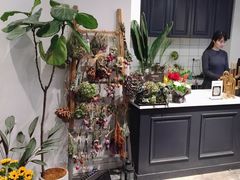 -植物学家的女儿(北马道巷店)