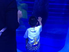 -烟台海昌鲸鲨海洋公园