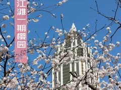 -武汉大学-樱园