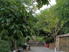 -石老人观光园