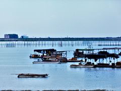 -北海金海湾红树林生态旅游区