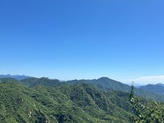 -大岭沟猕猴桃谷风景区