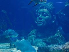 -暹罗海洋世界