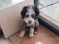 -庐州太太(双岗店)