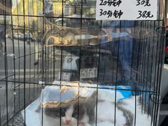 -大芬美术馆