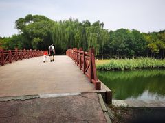 -大兴滨河森林公园