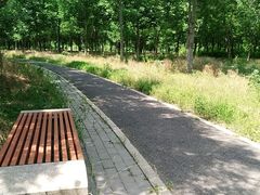 -东郊湿地公园