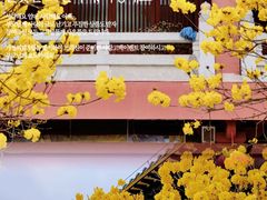 -光孝寺