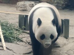 -石家庄市动物园