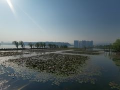 -洱海月湿地公园