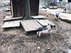 -宁波野生动物园