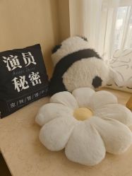 -演员的秘密·皮肤管理