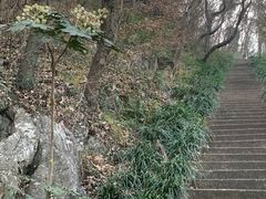 -句容茅山景区