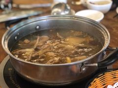 药膳乳鸽-百利鸽王(紫薇路店)