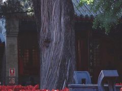 -红螺寺