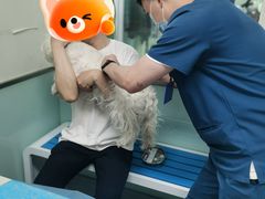 -达爱动物医院·犬猫分区·CT·复杂眼科(远洋山水分院)
